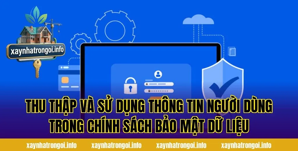 Thu thập và sử dụng thông tin người dùng trong chính sách bảo mật dữ liệu